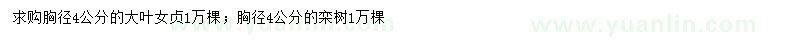 求購(gòu)胸徑4公分大葉女貞、欒樹(shù)