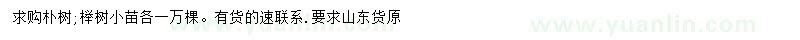 求購(gòu)樸樹(shù)、櫸樹(shù)小苗
