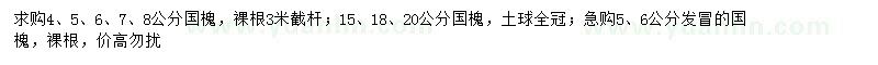 求購4、5、6、7、8、15、18、20公分國槐