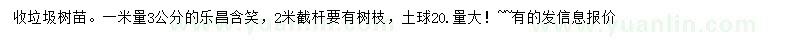 求購1米量3公分樂昌含笑垃圾樹苗