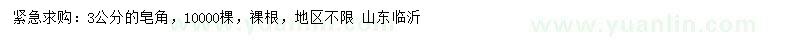 求購3公分皂角