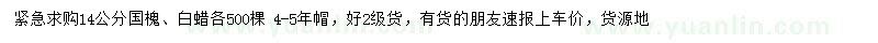 求購(gòu)14公分國(guó)槐、白蠟