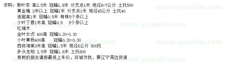 求購紫葉李、黃金槐、 連翹等