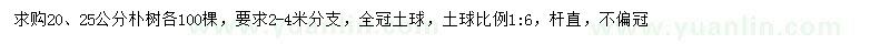 求購(gòu)20、25公分樸樹(shù)