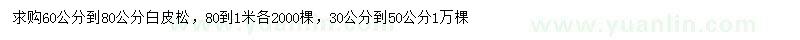 求購60-80公分白皮松