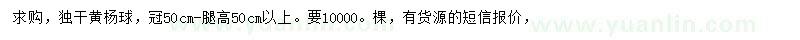 求購冠50公分黃楊球
