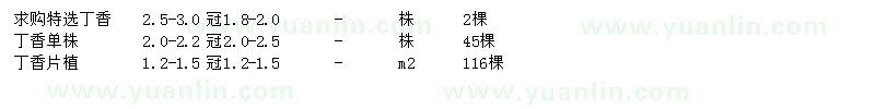 求購丁香