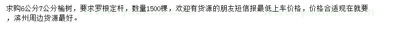 求購6、7公分榆樹
