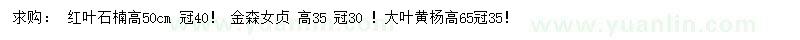 求購紅葉石楠、金森女貞、大葉黃楊