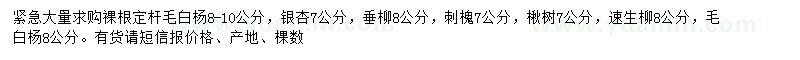 求購毛白楊、銀杏、垂柳等