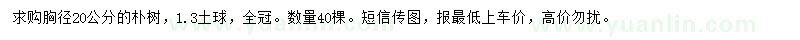 求購胸徑20公分樸樹
