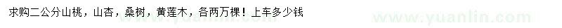 求購山桃、山杏、桑樹等