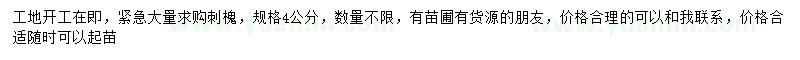 求購(gòu)4公分刺槐