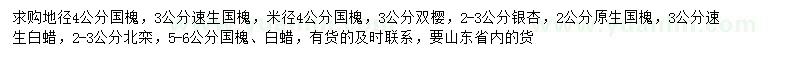 求購國槐、銀杏、速生白蠟等
