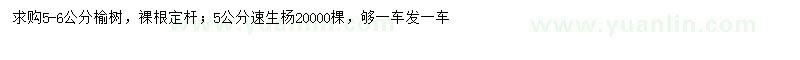 求購(gòu)5-6公分榆樹(shù)、5公分速生楊