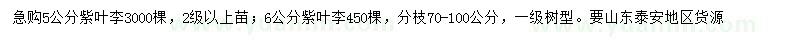 求購(gòu)5、6公分紫葉李