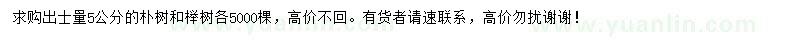 求購出土量5公分樸樹、櫸樹