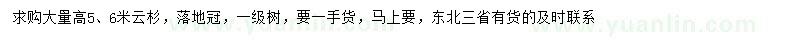 求購大量高5、6米云杉