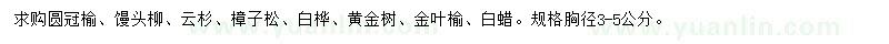 求購圓冠榆、饅頭柳、云杉等