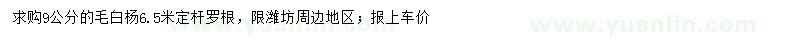 求購9公分毛白楊