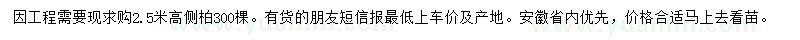 求購高2.5米側(cè)柏