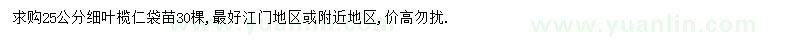 求購25公分細葉欖仁