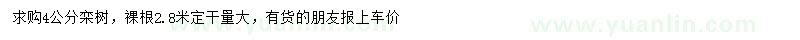 求購4公分欒樹