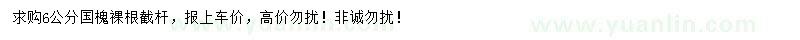 求購6公分國槐