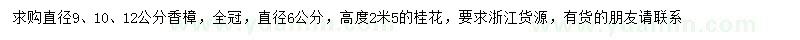 求購直徑9、10、12公分香樟、直徑6公分桂花