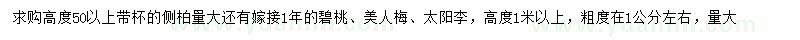 求購側柏、碧桃、美人梅等
