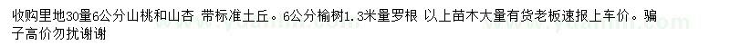 求購山桃、山杏、榆樹