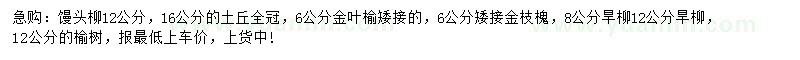 求購(gòu)饅頭柳、金枝槐、金葉榆等
