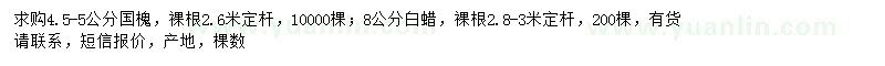 求購4.5-5公分國槐、8公分白蠟