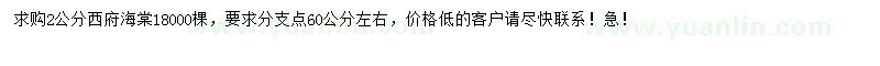 求購2公分西府海棠