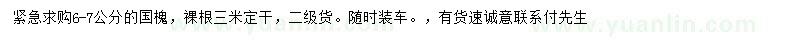 求購6-7公分國槐