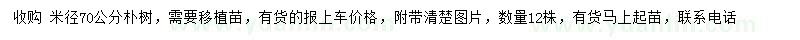 求購(gòu)米徑70公分樸樹