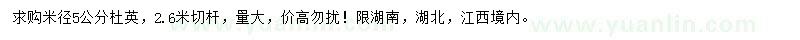 求購米徑5公分杜英