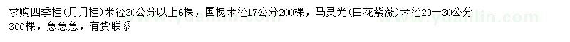 求購四季桂、國槐、馬靈光