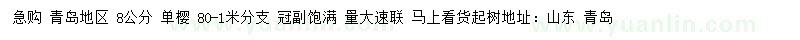 求購8公分單櫻