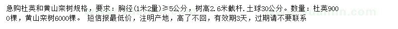 求購1米2處量5公分以上杜英、黃山欒樹