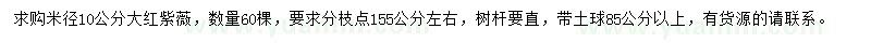 求購米徑10公分大紅紫薇