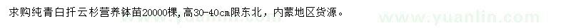 求購(gòu)高30-40公分純青白扦云杉