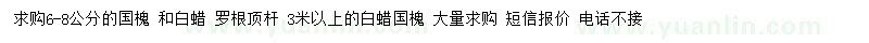 求購6-8公分國槐、白蠟