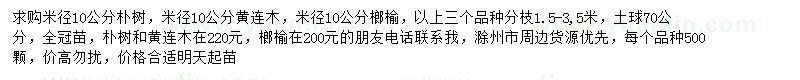 求購樸樹、黃連木、榔榆