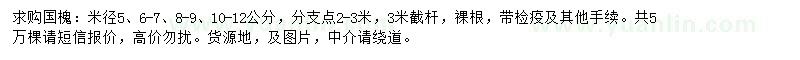 求購米徑5、6-7、8-9、10-12公分國槐