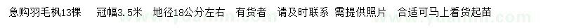 求購冠幅3.5米羽毛楓