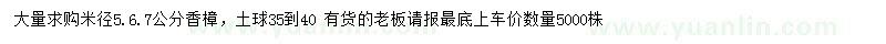 求購米徑5-7公分香樟