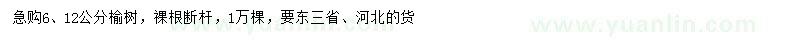 求購6、12公分榆樹