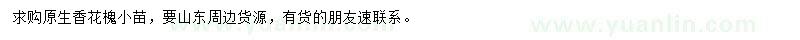 求購(gòu)香花槐小苗