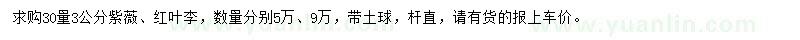 求購30量3公分紫薇、紅葉李